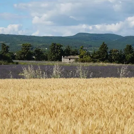Complet - Sous Bois * Salles-sous-Bois